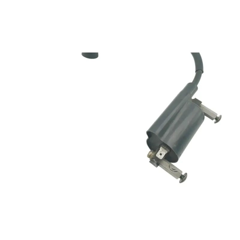 Bobine allumage SUZUKI GN 125 1983 - 2002