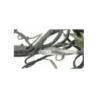 Faisceau electrique KAWASAKI ZR7 750 1999 - 2004 Faisceau electrique KAWASAKI ZR7 750 1999 - 2004