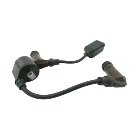 Bobine allumage TRIUMPH BONNEVILLE 900 T 100 ABS 2017 - 2025