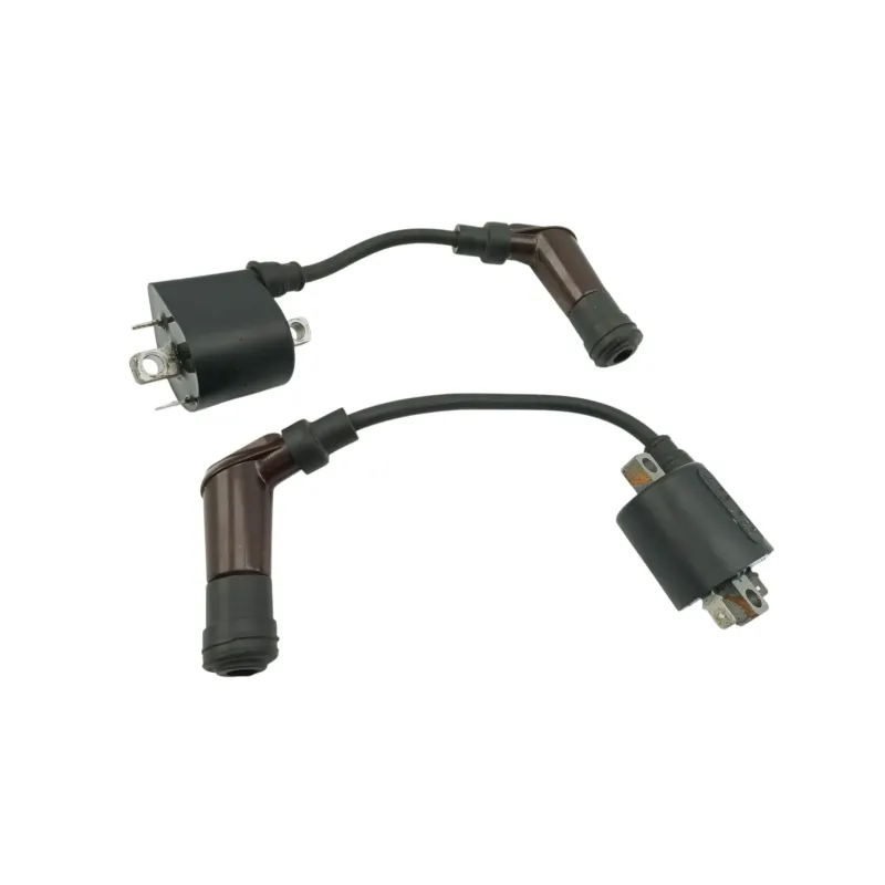 Bobine allumage TRIUMPH BONNEVILLE 900 T 100 ABS 2017 - 2025