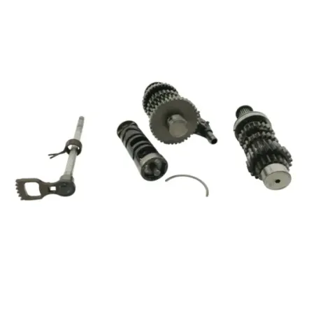 Boite de vitesses SUZUKI GSF 600 BANDIT N 2000 - 2004