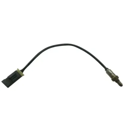 Sonde lambda BMW R 1250 RS 2019 - 2025