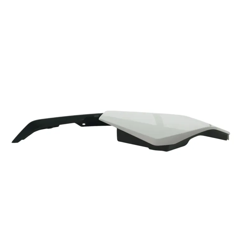Coque arriere gauche BMW R 1250 RS 2019 - 2025