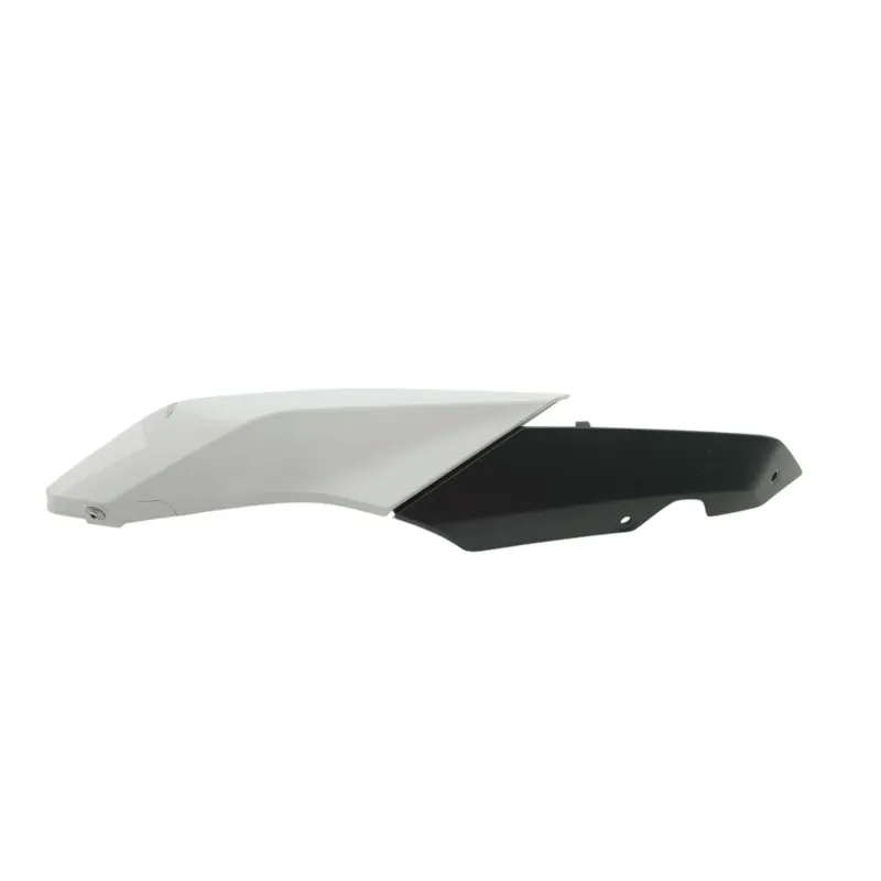 Coque arriere gauche BMW R 1250 RS 2019 - 2025
