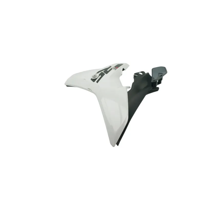 Flanc avant droit BMW R 1250 RS 2019 - 2025