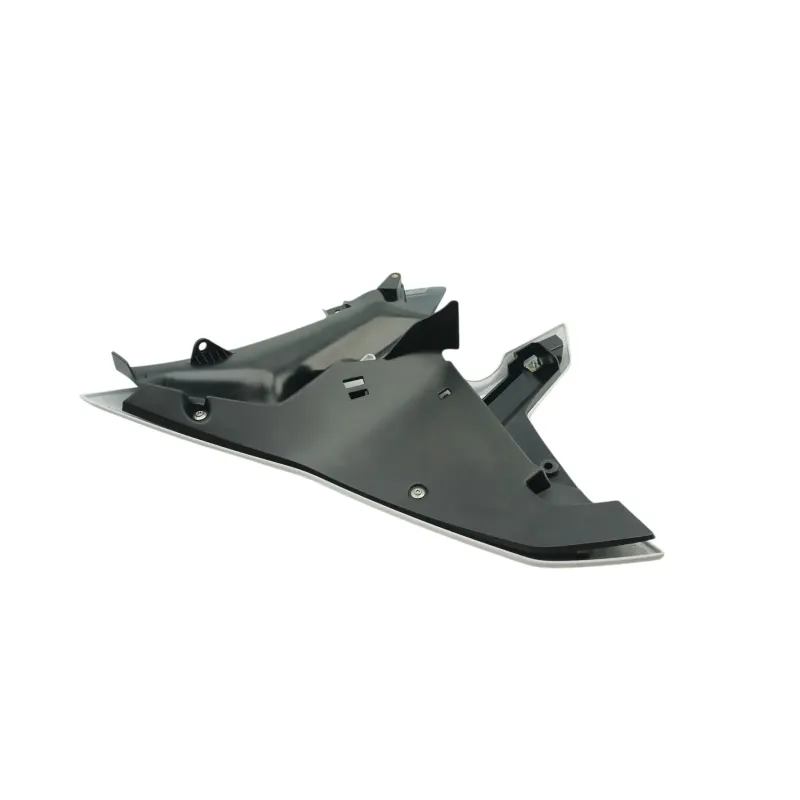Flanc avant droit BMW R 1250 RS 2019 - 2025