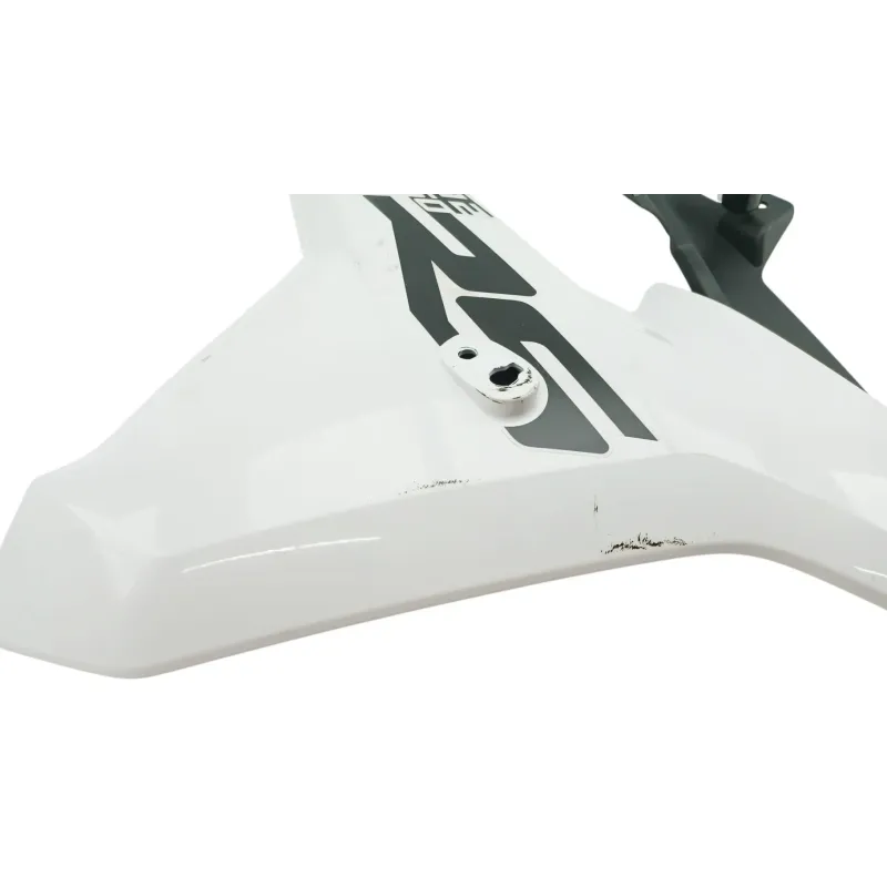 Flanc avant droit BMW R 1250 RS 2019 - 2025