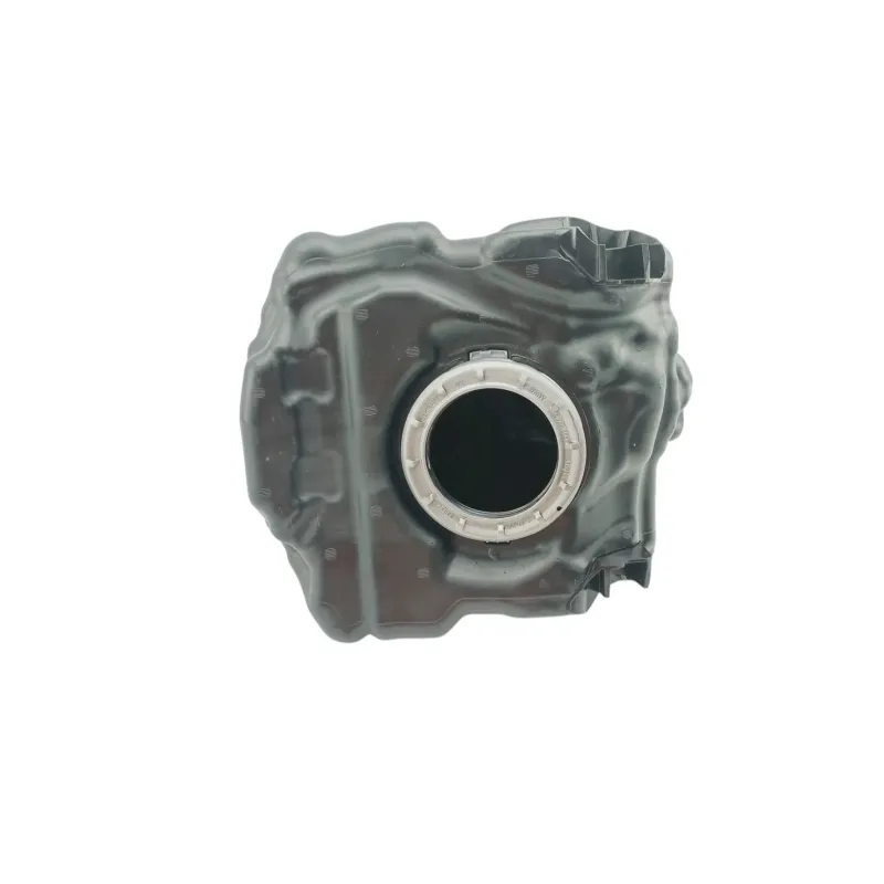 Reservoir BMW R 1250 RS 2019 - 2025