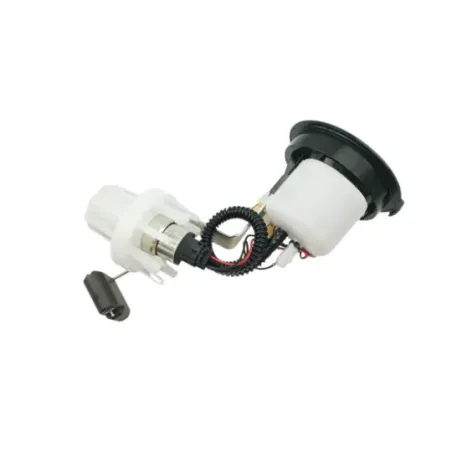 Pompe a essence BMW R 1250 RS 2019 - 2025