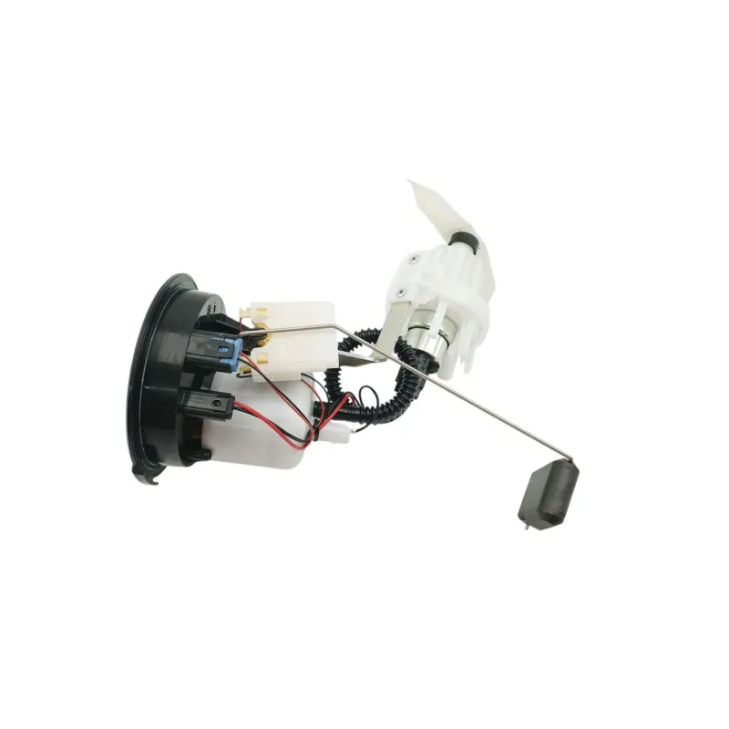 Pompe a essence BMW R 1250 RS 2019 - 2025