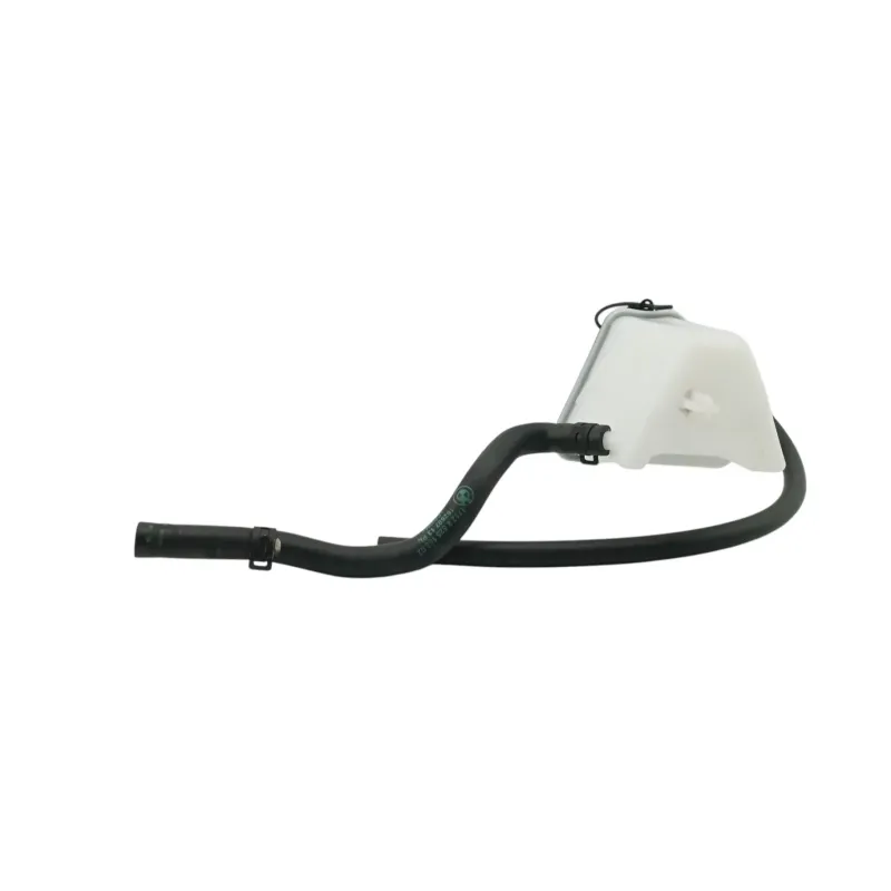 Vase expansion BMW R 1250 RS 2019 - 2025