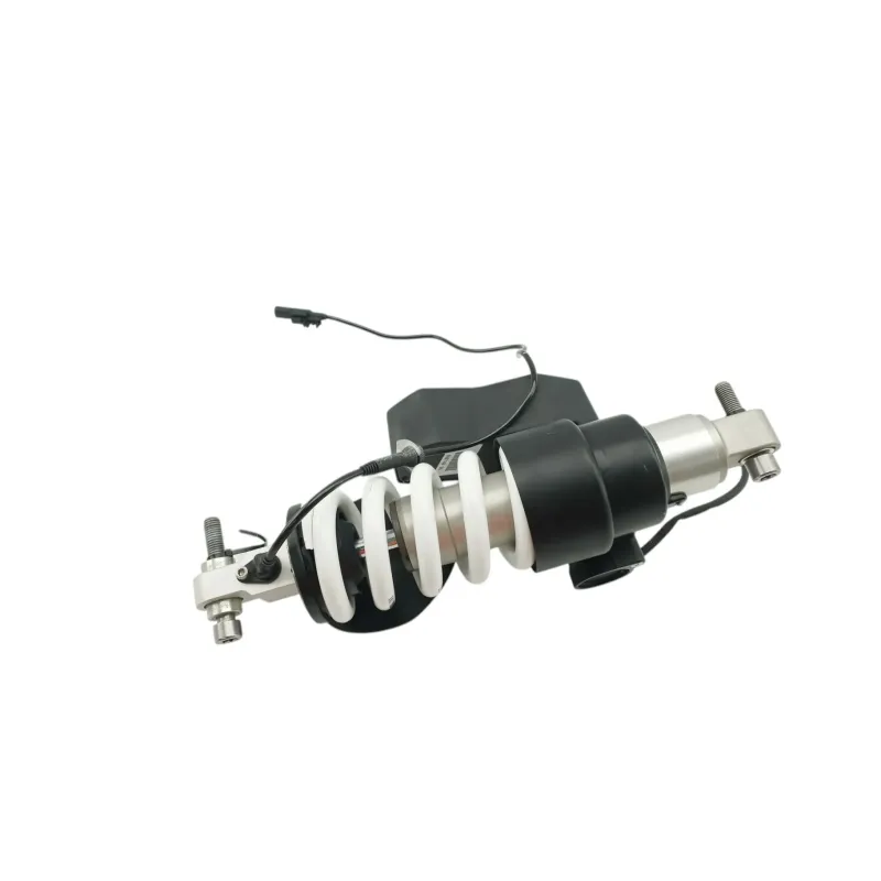 Amortisseur BMW R 1250 RS 2019 - 2025