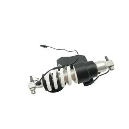 Amortisseur BMW R 1250 RS 2019 - 2025