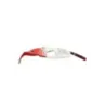 Flanc avant droit GILERA MX1 125 1988 - 1989