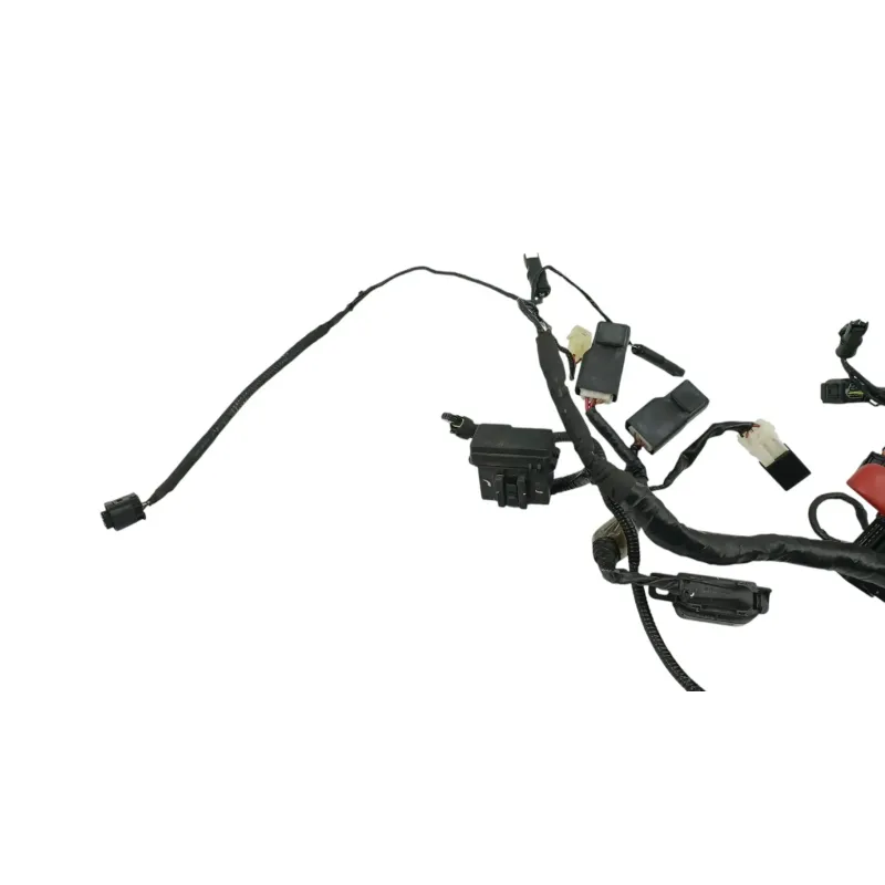 Faisceau electrique BMW G 310 R 2016 - 2020
