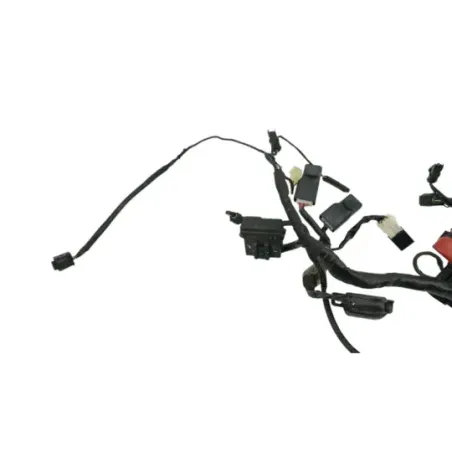 Faisceau electrique BMW G 310 R 2016 - 2020