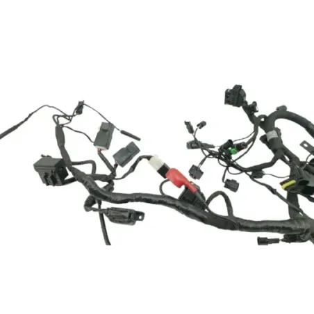 Faisceau electrique BMW G 310 R 2016 - 2020