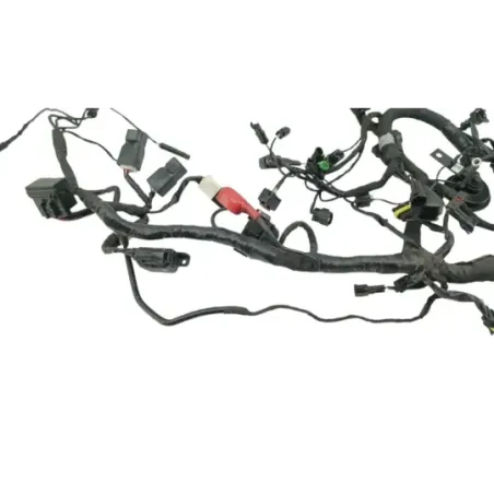 Faisceau electrique BMW G 310 R 2016 - 2020