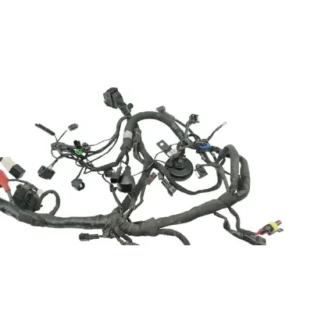 Faisceau electrique BMW G 310 R 2016 - 2020