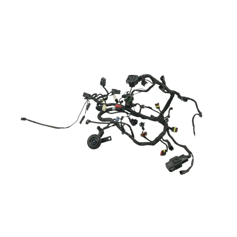 Faisceau electrique BMW G 310 R 2016 - 2020