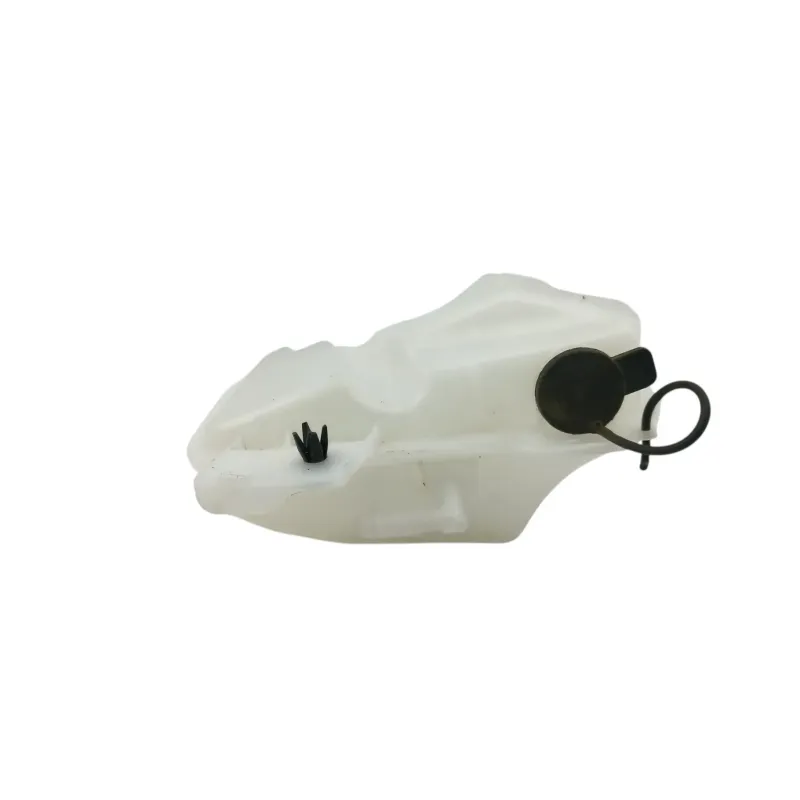 Vase expansion BMW G 310 R 2016 - 2020