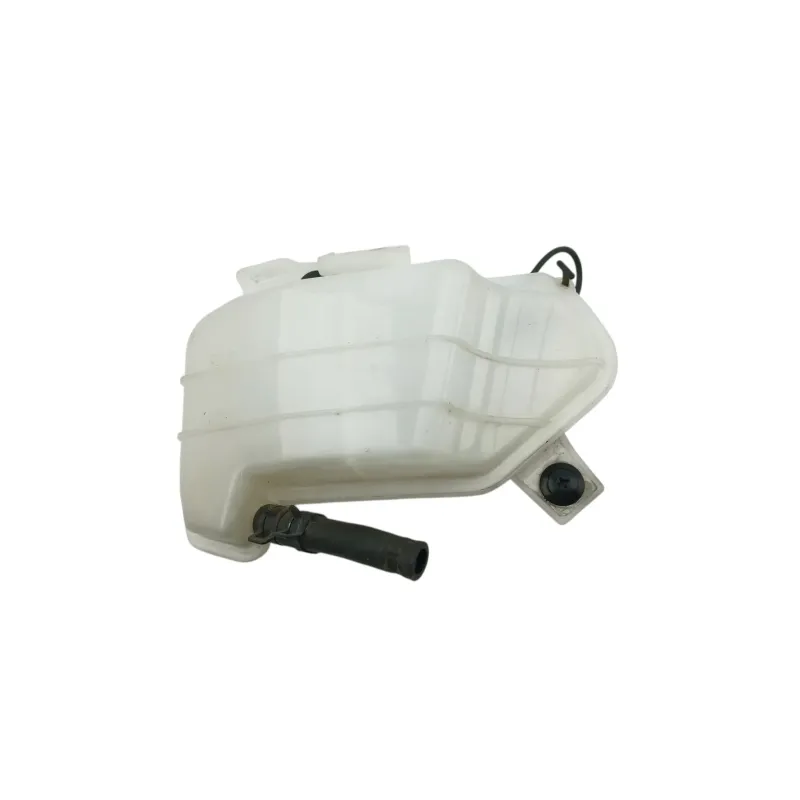 Vase expansion BMW G 310 R 2016 - 2020