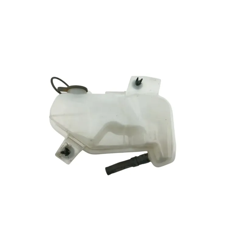 Vase expansion BMW G 310 R 2016 - 2020