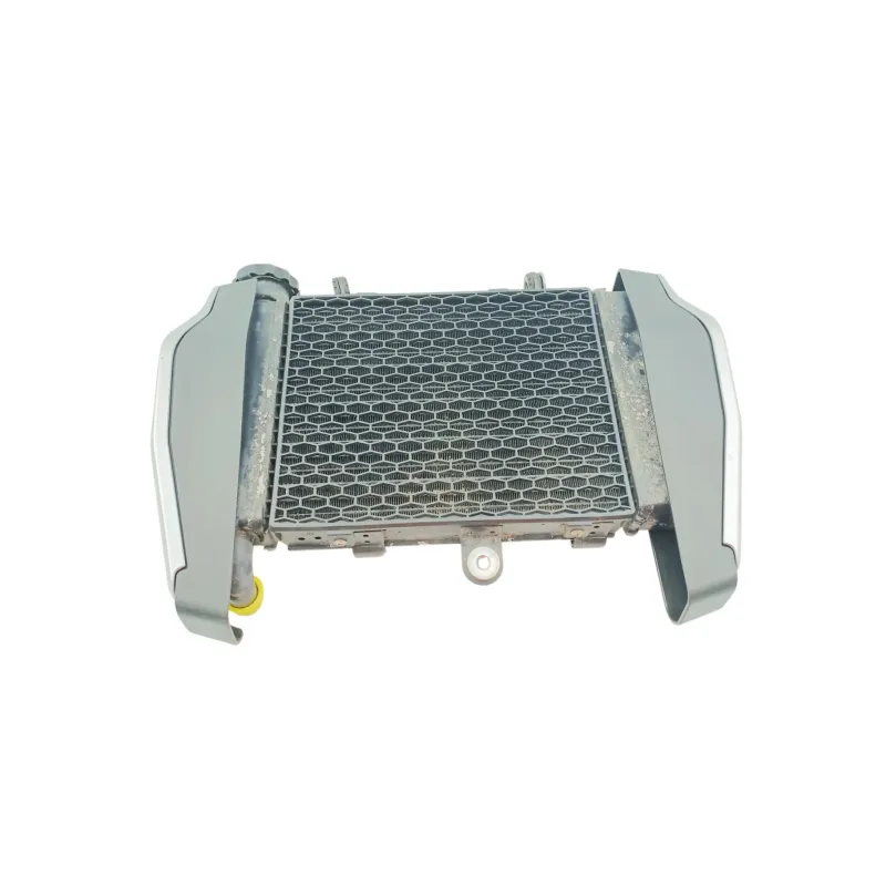 Radiateur eau VOGE AC 300 ABS 2020 - 2025