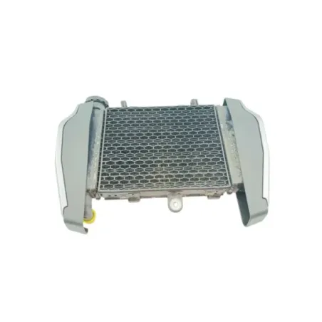 Radiateur eau VOGE AC 300 ABS 2020 - 2025