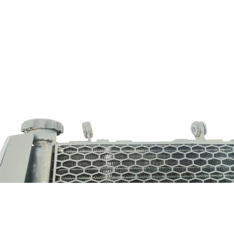 Radiateur eau VOGE AC 300 ABS 2020 - 2025