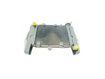 Radiateur eau VOGE AC 300 ABS 2020 - 2025