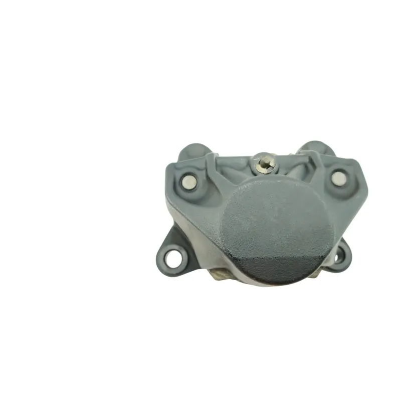 Etrier de frein arriere DUCATI MULTISTRADA 1000 DS 2003 - 2006