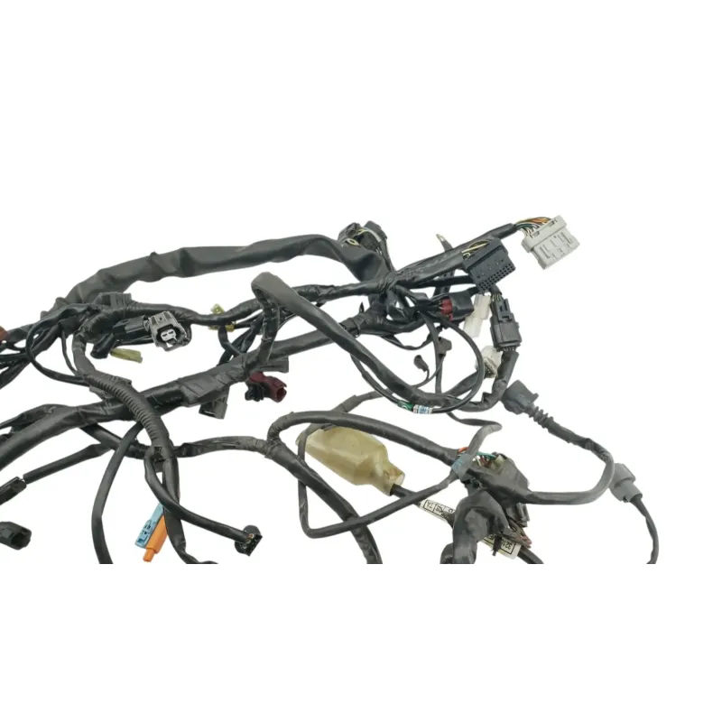 Faisceau electrique HONDA CBF 600 N 2008 - 2012