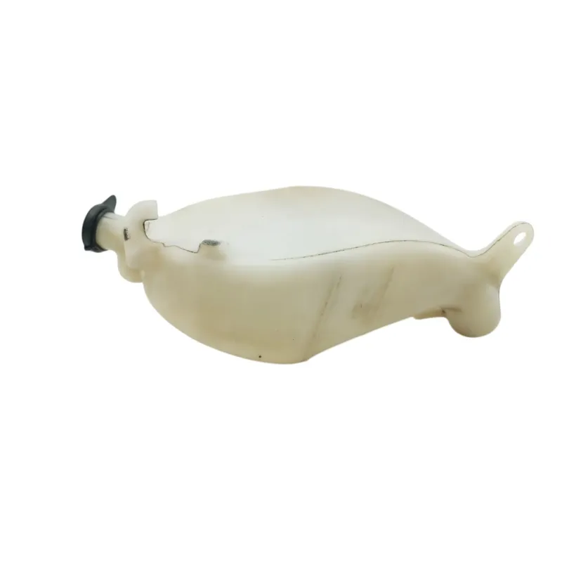 Vase expansion HONDA CBF 600 N 2008 - 2012