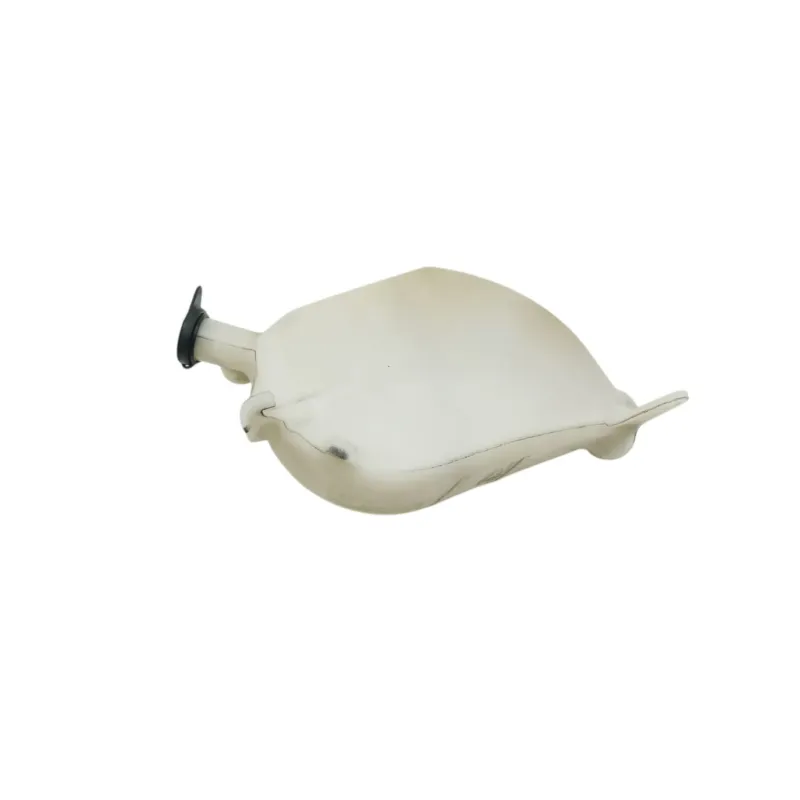 Vase expansion HONDA CBF 600 N 2008 - 2012