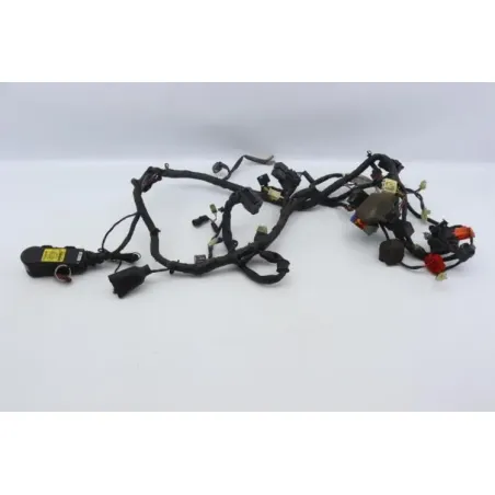Faisceau electrique HONDA FES 125 S WING 2007 - 2014