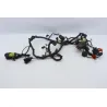 Faisceau electrique HONDA FES 125 S WING 2007 - 2014 Faisceau electrique HONDA FES 125 S WING 2007 - 2014
