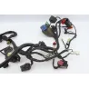 Faisceau electrique HONDA FES 125 S WING 2007 - 2014 Faisceau electrique HONDA FES 125 S WING 2007 - 2014