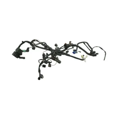 Faisceau electrique SUZUKI GSF 650 BANDIT N 2007 - 2008