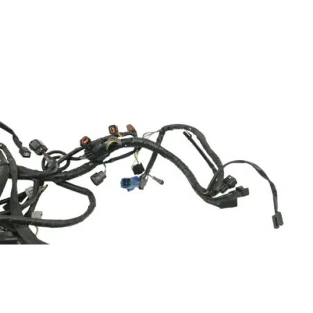 Faisceau electrique SUZUKI GSF 650 BANDIT N 2007 - 2008