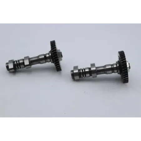 Arbres à cames APRILIA SL SHIVER 750 2007 - 2009