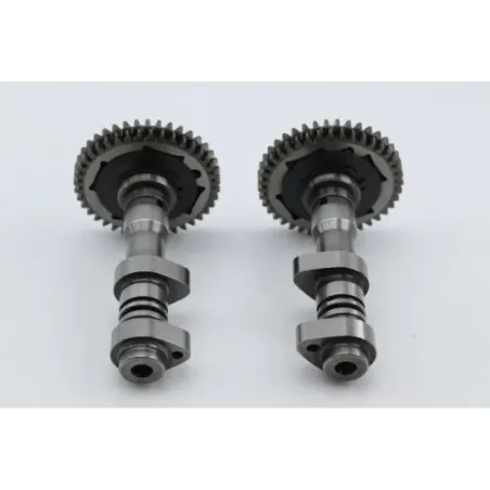 Arbres à cames APRILIA SL SHIVER 750 2007 - 2009