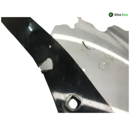 Bulle KAWASAKI ZX12 R 1200 2000-2001 NINJA