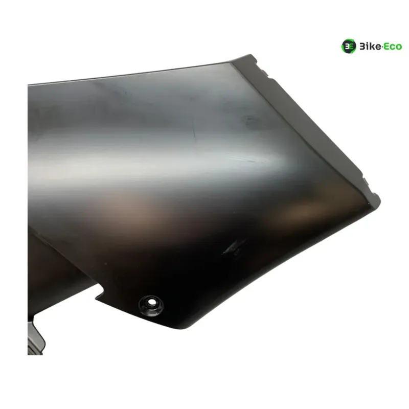 Cache flanc de carenage gauche BMW M 1000 RR 2025