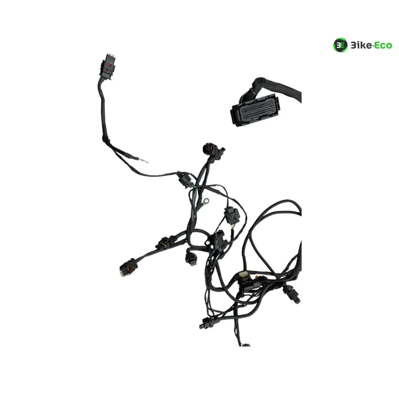 Faisceau electrique BMW R 1300 GS 2024-2026