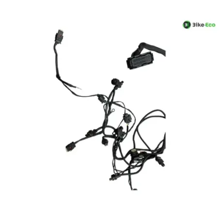 Faisceau electrique BMW R 1300 GS 2024-2026