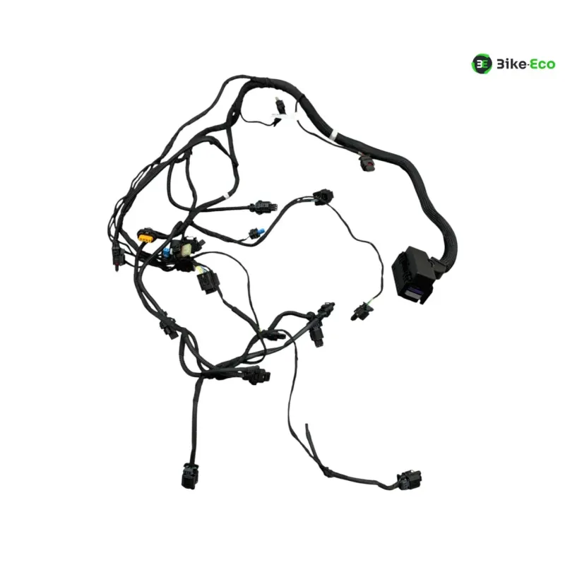 Faisceau electrique BMW R 1300 GS 2024-2026