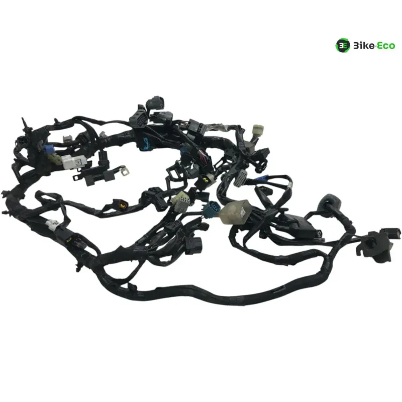 Faisceau electrique KAWASAKI Z 900 RS 2018-2019