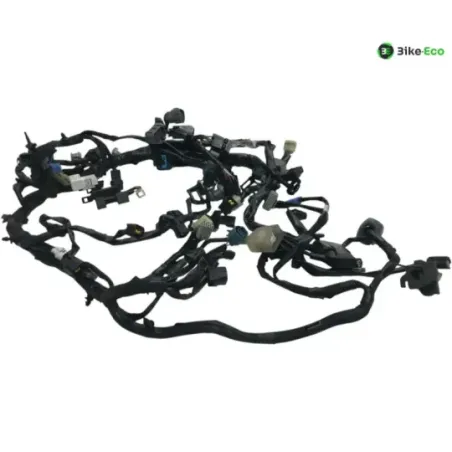 Faisceau electrique KAWASAKI Z 900 RS 2018-2019