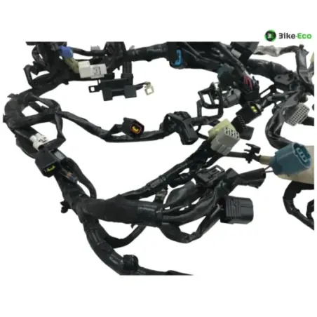 Faisceau electrique KAWASAKI Z 900 RS 2018-2019
